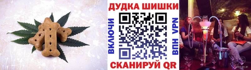 Купить закладки  Беломорск  Cannafood конопля 