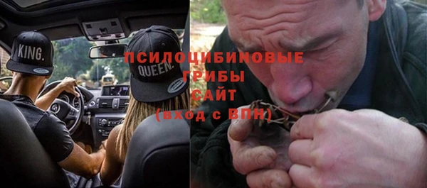 ALPHA PVP Краснотурьинск