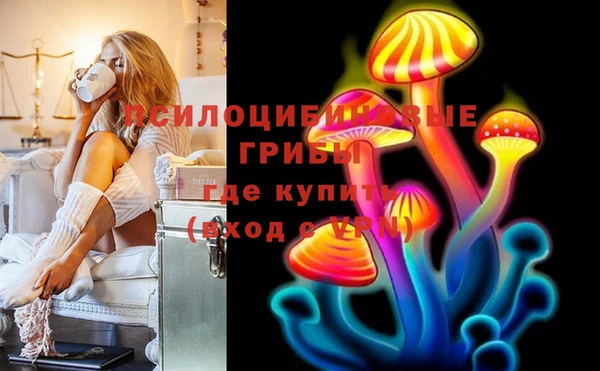 а пвп мука Краснослободск